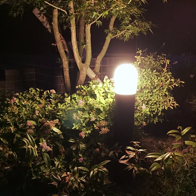 miyaさんの実例写真