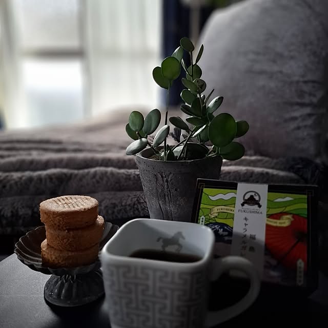 noaさんの部屋