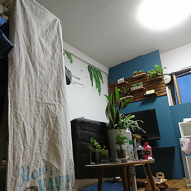 部屋全体のインテリア実例 - 2018-05-20 23:56:48
