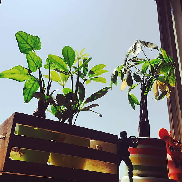 Katuhiroさんの実例写真