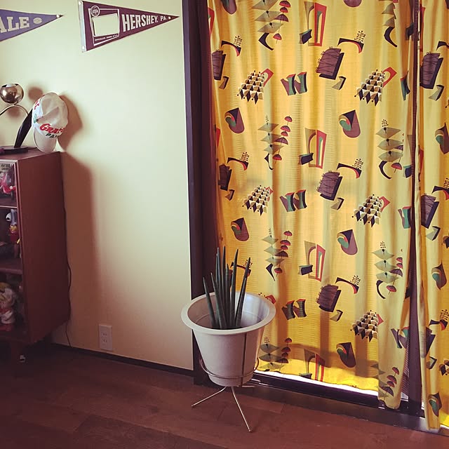 Annaさんの実例写真