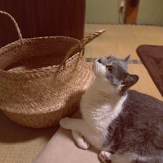 rhuさんの実例写真