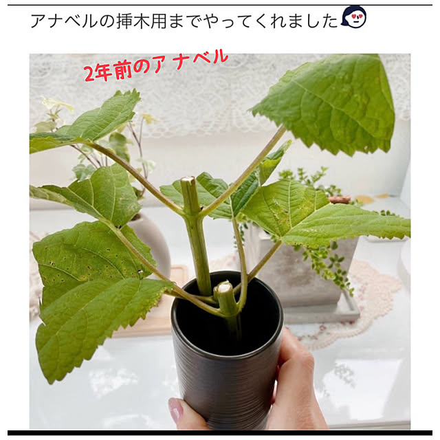 miyuさんの部屋