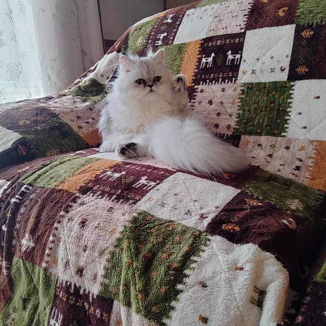 makaronさんの実例写真