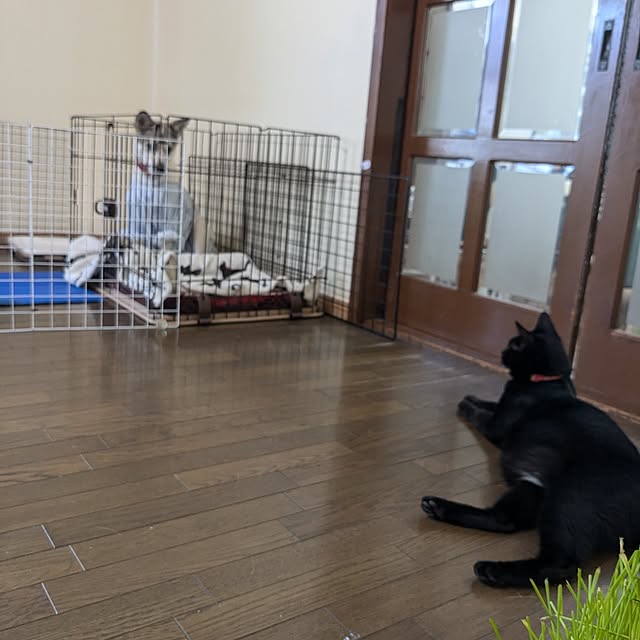 asaさんの部屋