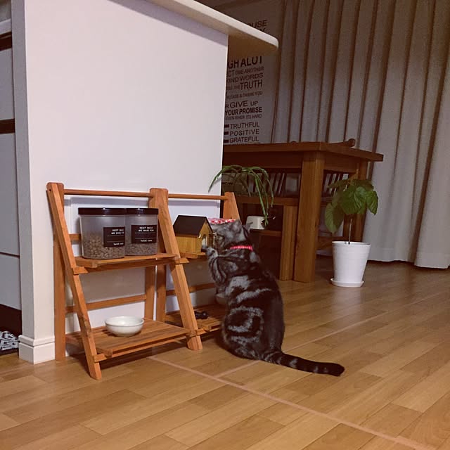 hiyupan88さんの実例写真