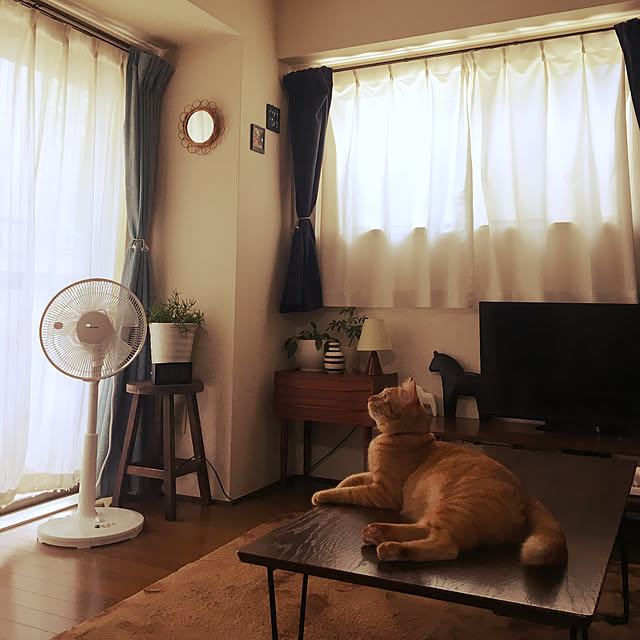 anzyさんの実例写真