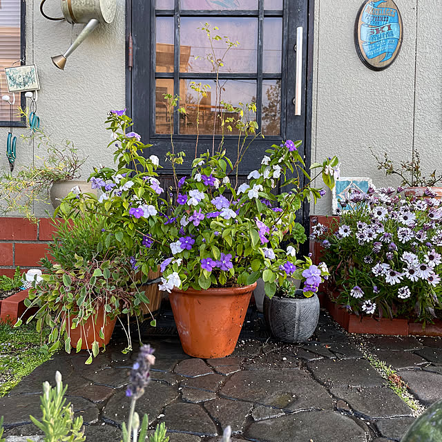 shin0719さんの実例写真