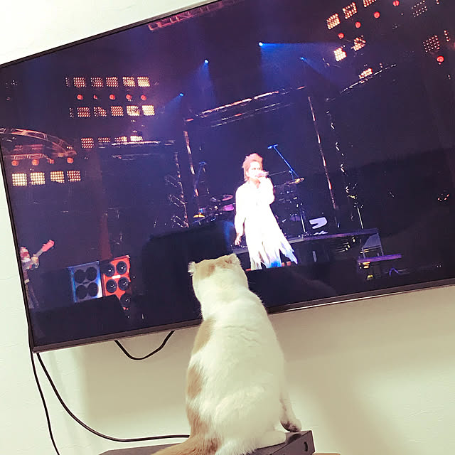 kikiさんの実例写真