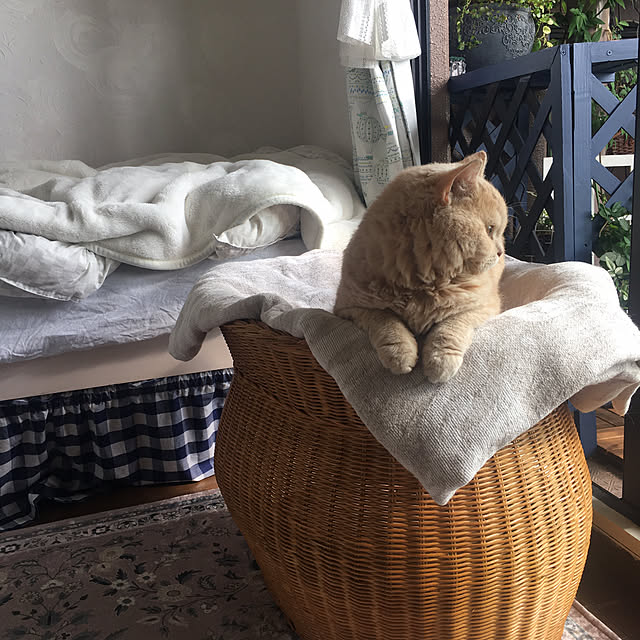 naokoさんの部屋
