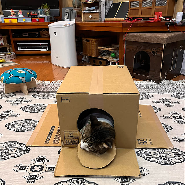 jijiさんの実例写真
