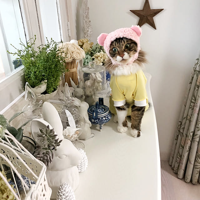 yuchiさんの実例写真