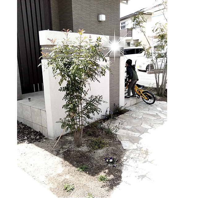 kodaminさんの実例写真