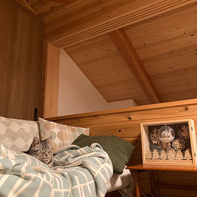 mkmkmoominさんの部屋