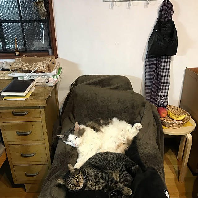 masakoさんの実例写真
