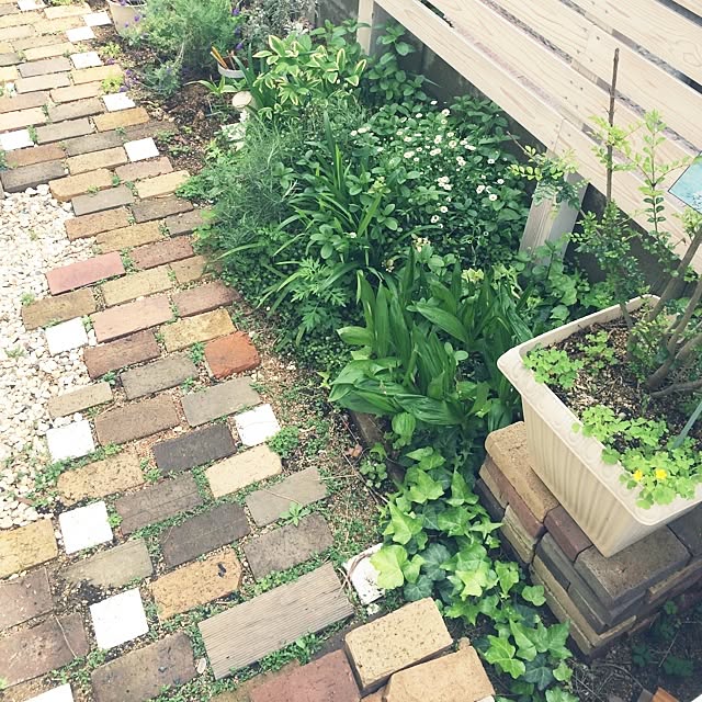 Ayarinkoさんの実例写真
