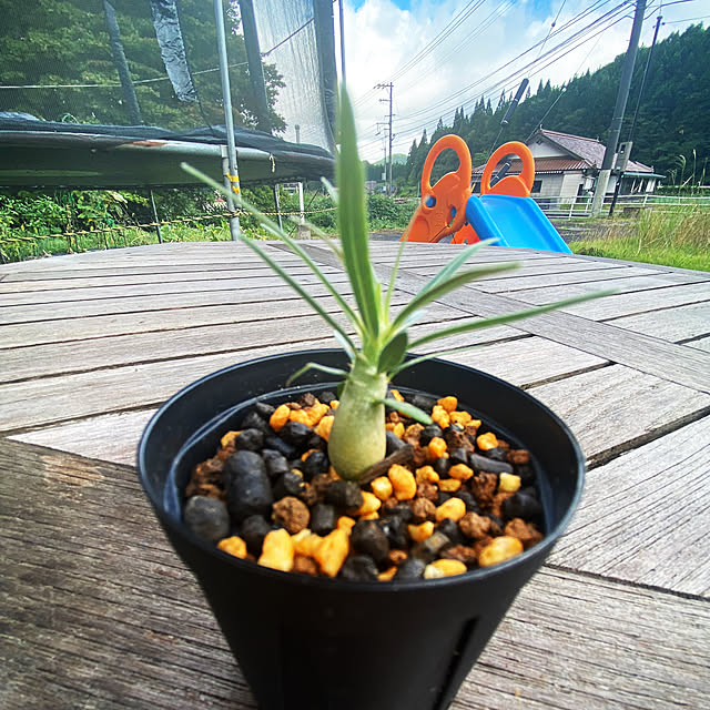 reahさんの実例写真
