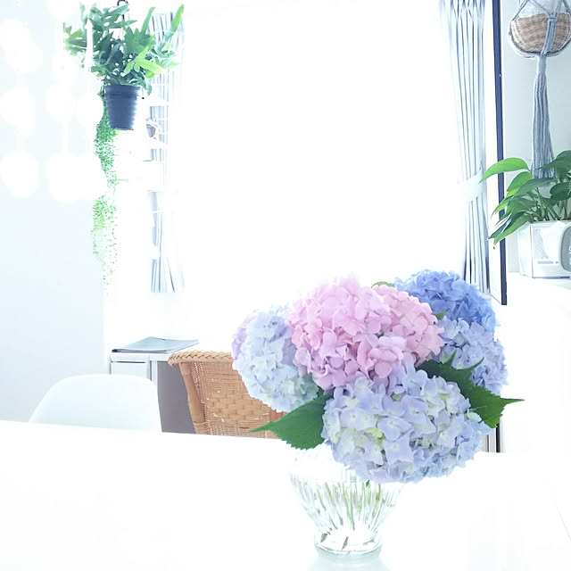 Yuzu-hiさんの実例写真