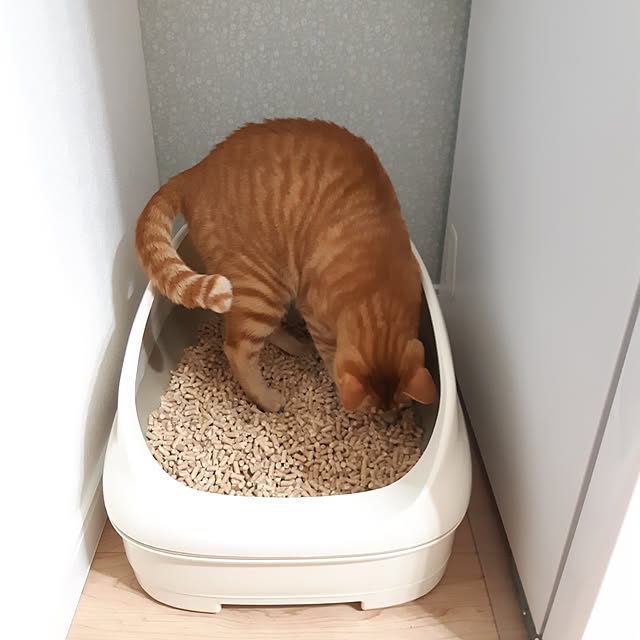 m.m.mさんの実例写真