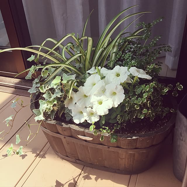 nagisaさんの実例写真