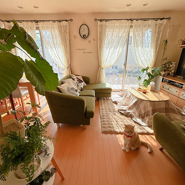 moolさんの実例写真