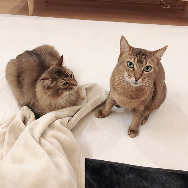 Yumiさんの実例写真