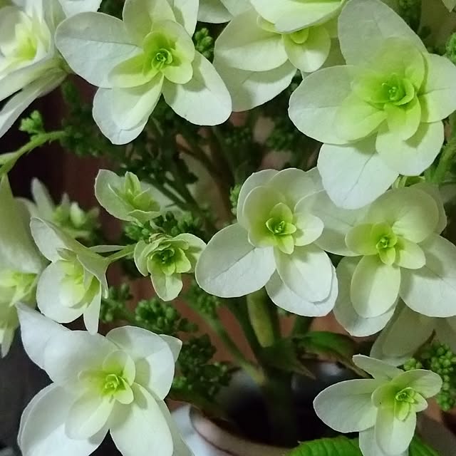 taiyoさんの部屋