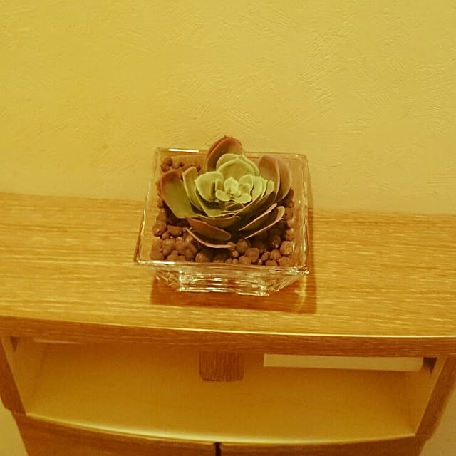 yuさんの実例写真