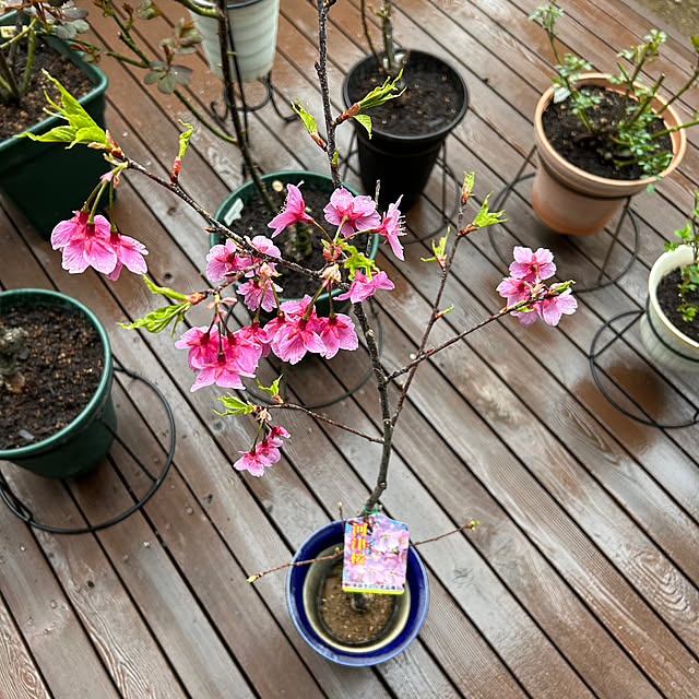 cocoさんの実例写真