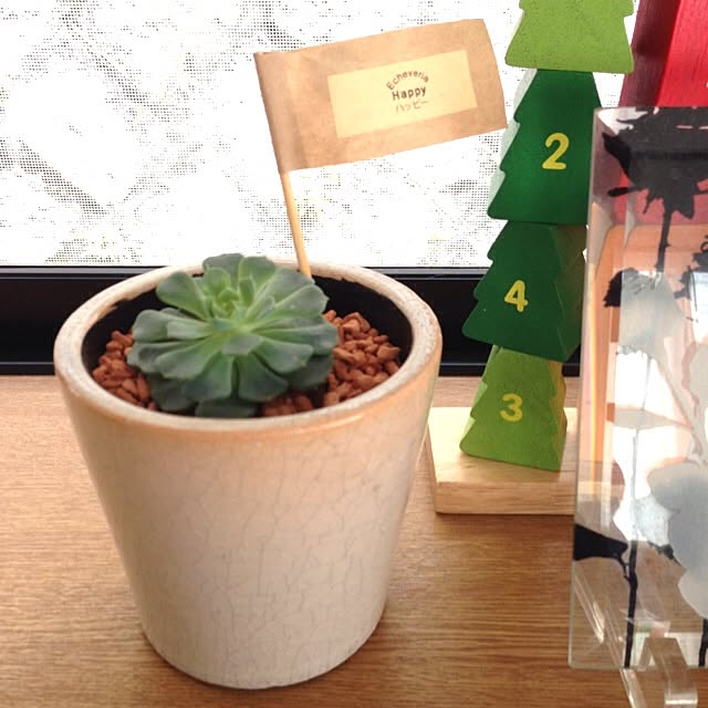 yukiさんの実例写真