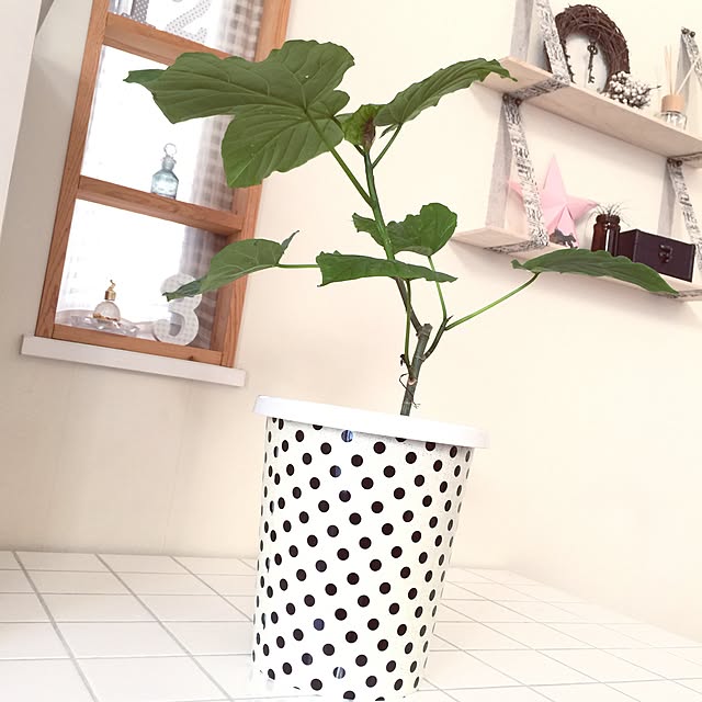 cherryさんの実例写真