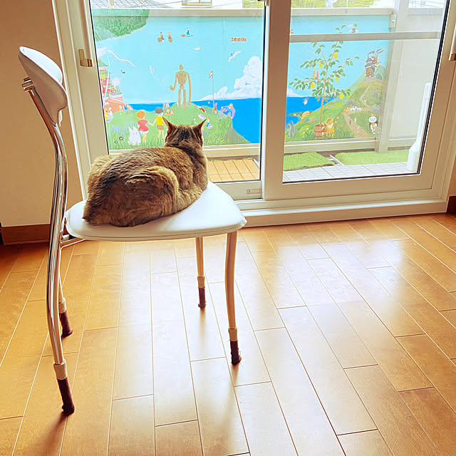 hansho.sさんの実例写真