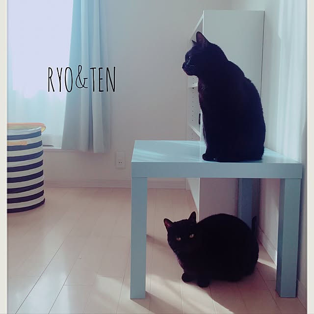 Yukoさんの実例写真