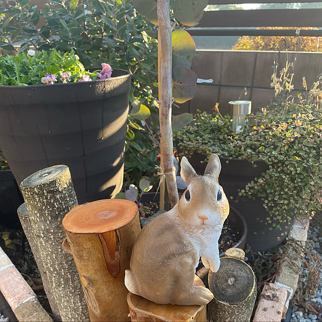 ronronさんの実例写真