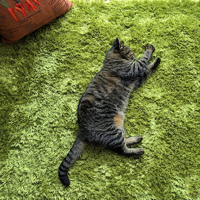 weさんの実例写真