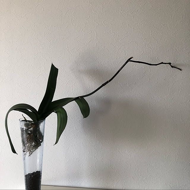 kikoさんの実例写真