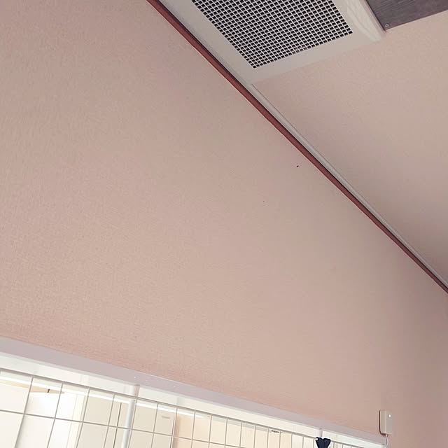 noguriさんの部屋