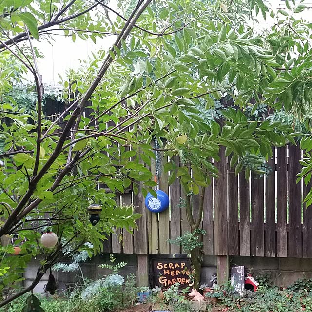 44039ponさんの実例写真
