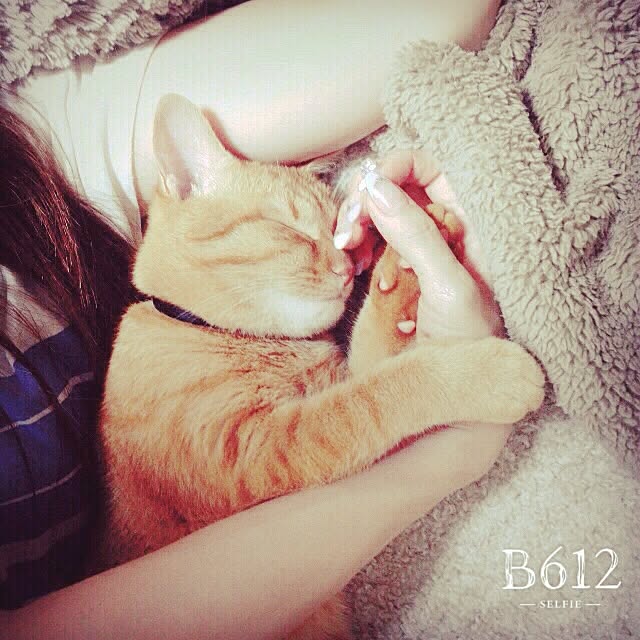 REINA612WORKSさんの実例写真