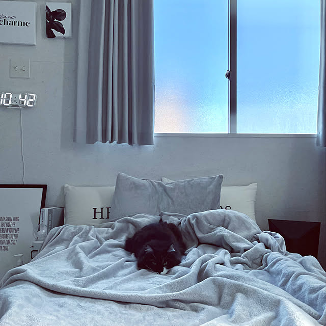 ERIKAさんの実例写真