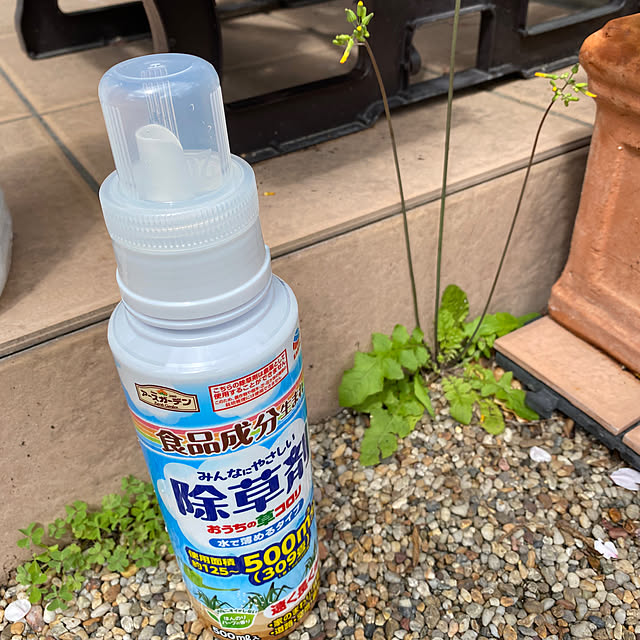 alchoさんの実例写真