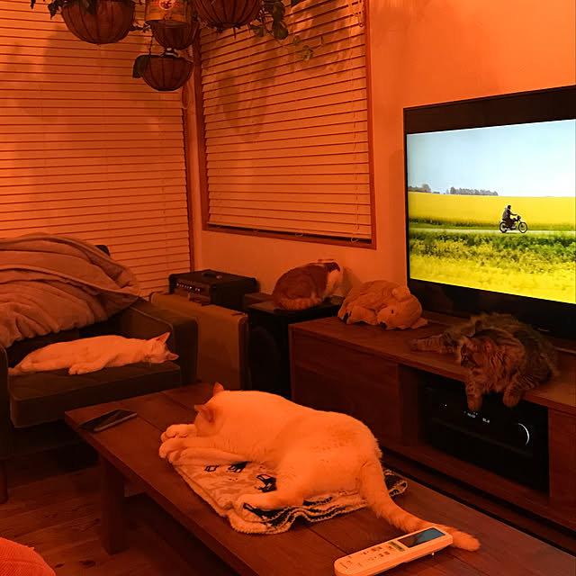 sakurasakuさんの実例写真