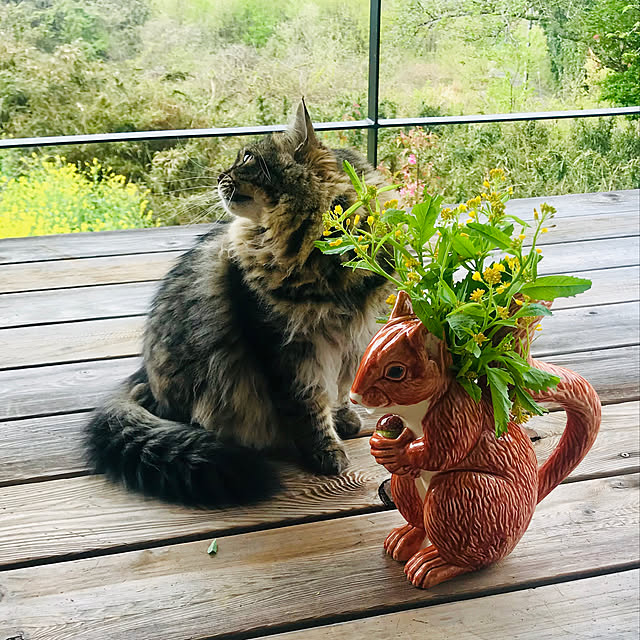 sakurasakuさんの実例写真