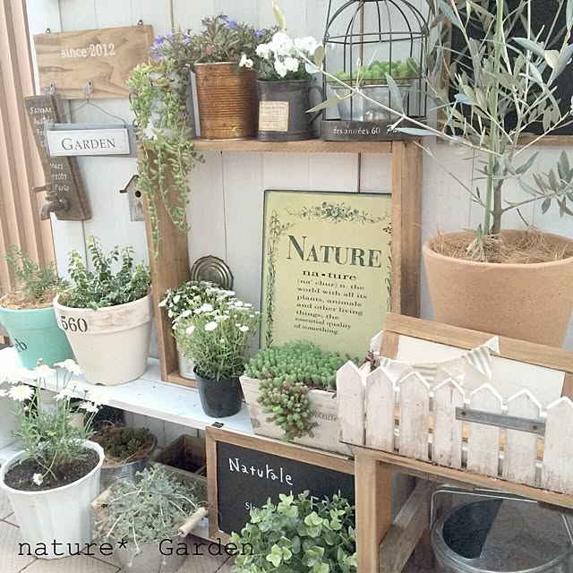 natureさんの実例写真