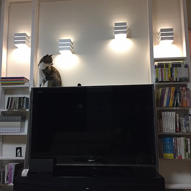 nyangyoさんの実例写真