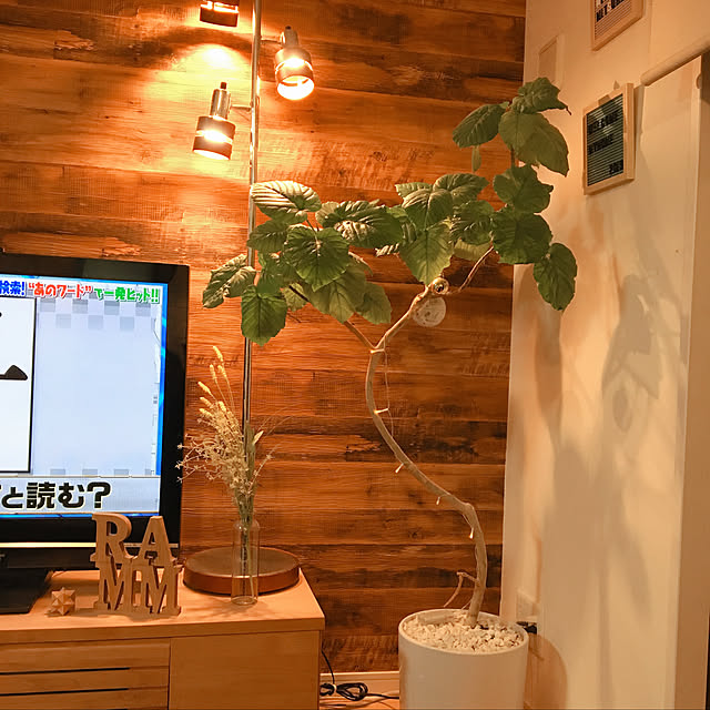 実例写真