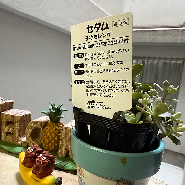 Aqettyさんの部屋