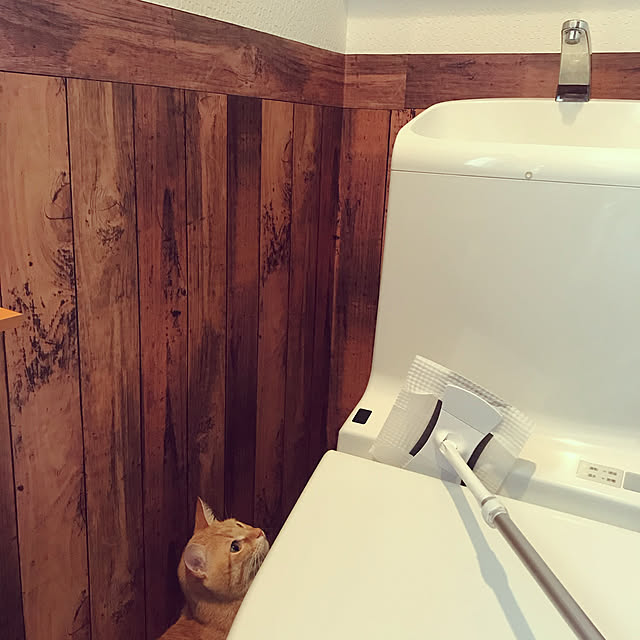 kotさんの実例写真