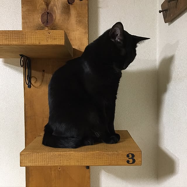 mahi1101さんの実例写真