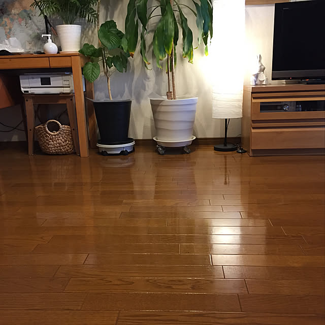 toy poohさんの実例写真